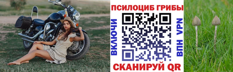 Псилоцибиновые грибы MAGIC MUSHROOMS  kraken   Городец 